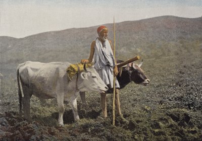 Kabyle Carriage by European Photographer